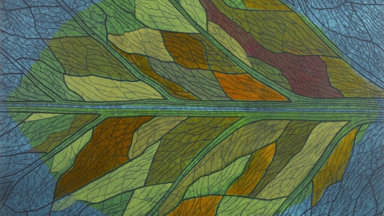 Jetzt bei der Green Marketing Studie 2026 mitmachen und gewinnen